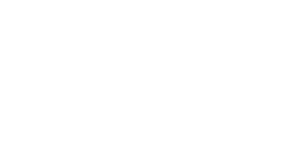 Apollo Pet Brace Logo