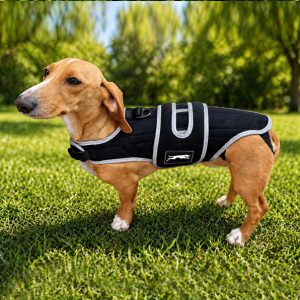 Dog Back Brace