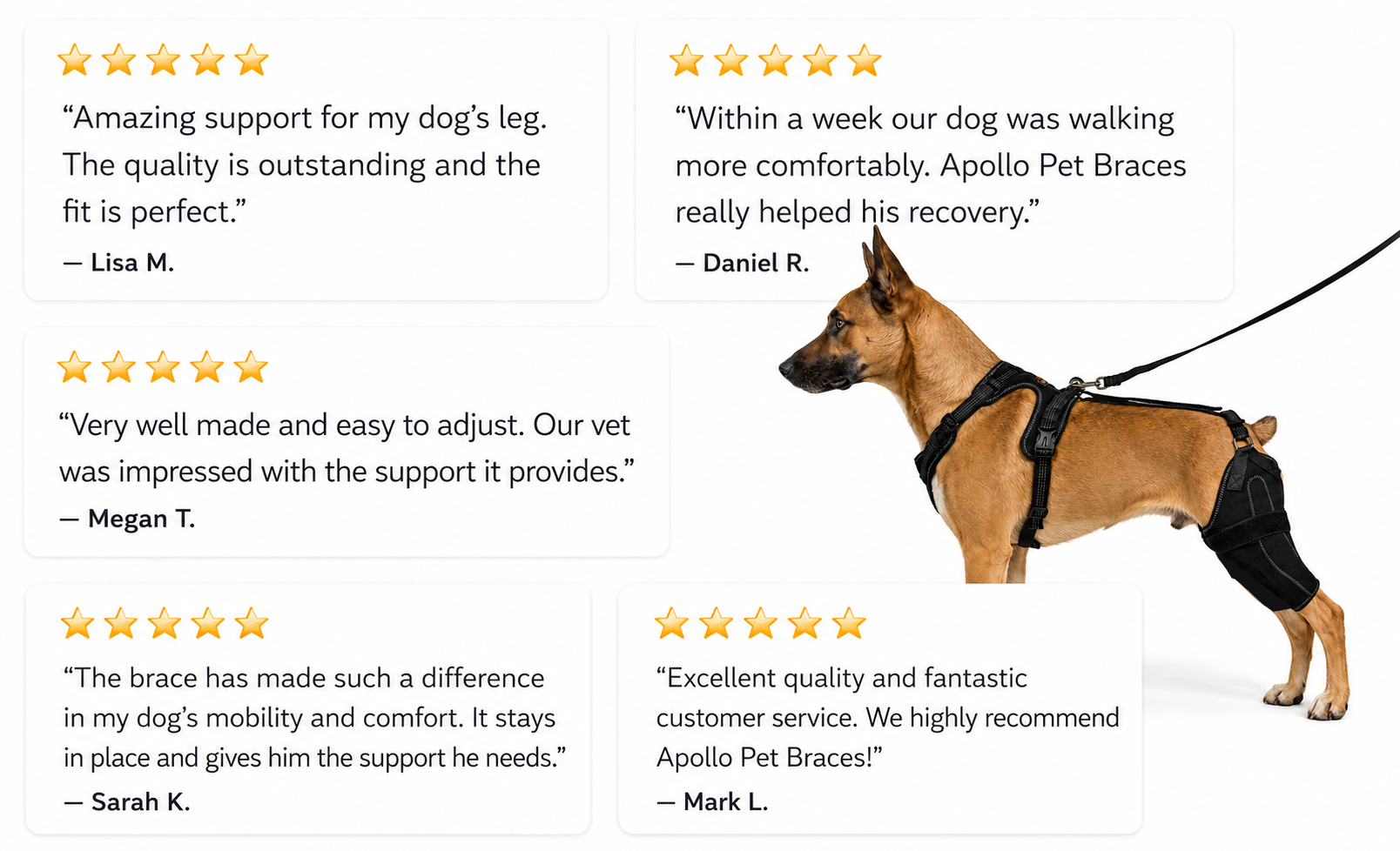 customer testimonials for apollo pet brace